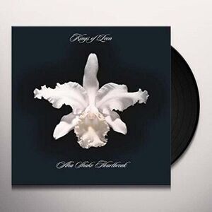 Aha Shake Heartbreak